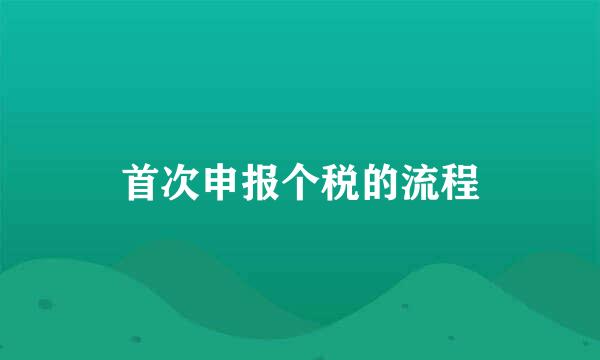 首次申报个税的流程