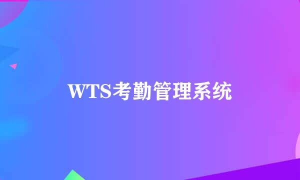 WTS考勤管理系统