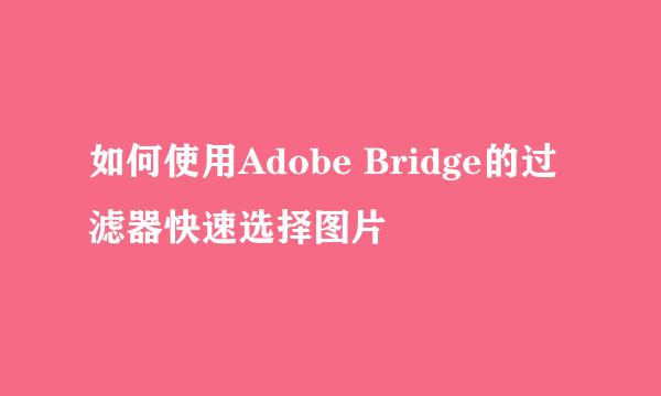 如何使用Adobe Bridge的过滤器快速选择图片