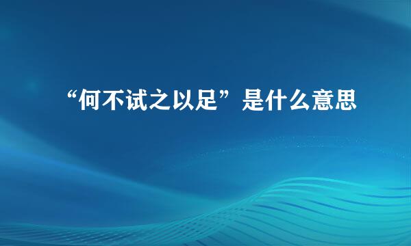 “何不试之以足”是什么意思