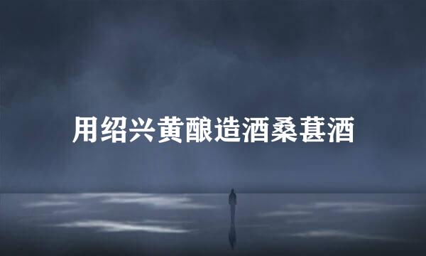 用绍兴黄酿造酒桑葚酒