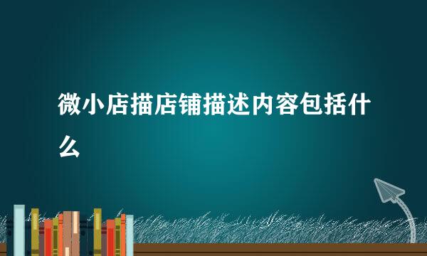 微小店描店铺描述内容包括什么
