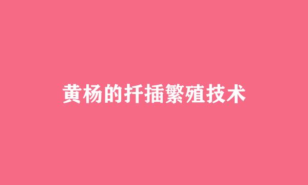 黄杨的扦插繁殖技术