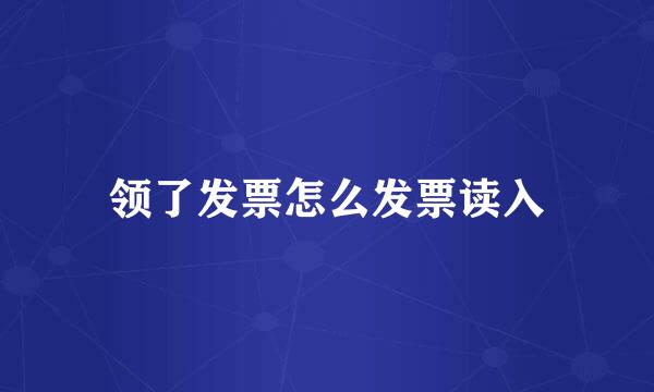 领了发票怎么发票读入