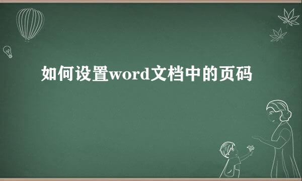 如何设置word文档中的页码