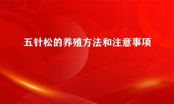 五针松的养殖方法和注意事项