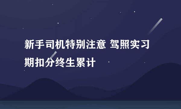 新手司机特别注意 驾照实习期扣分终生累计