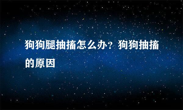 狗狗腿抽搐怎么办？狗狗抽搐的原因