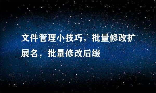 文件管理小技巧，批量修改扩展名，批量修改后缀