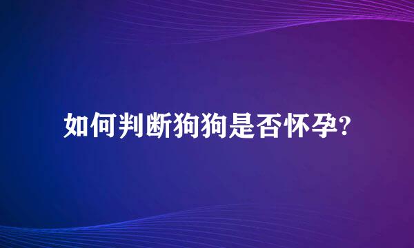 如何判断狗狗是否怀孕?