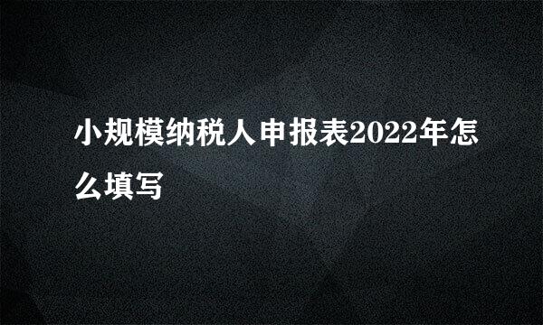小规模纳税人申报表2022年怎么填写