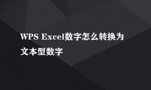 WPS Excel数字怎么转换为文本型数字