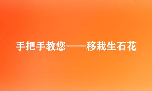 手把手教您——移栽生石花
