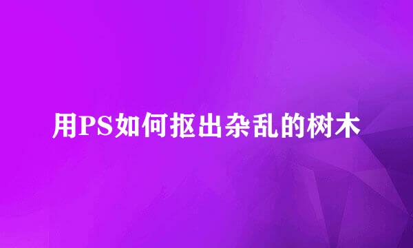 用PS如何抠出杂乱的树木