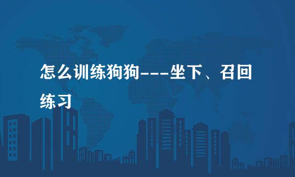 怎么训练狗狗---坐下、召回练习