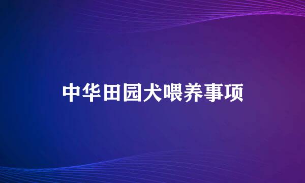 中华田园犬喂养事项