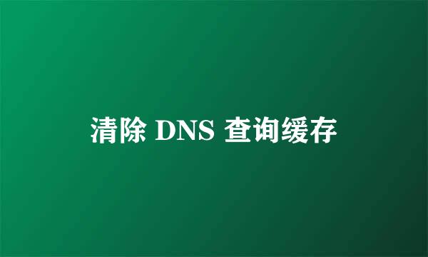 清除 DNS 查询缓存
