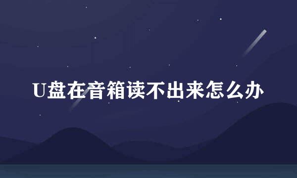 U盘在音箱读不出来怎么办