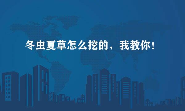 冬虫夏草怎么挖的，我教你！