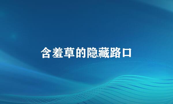 含羞草的隐藏路口