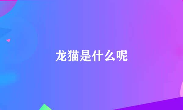 龙猫是什么呢