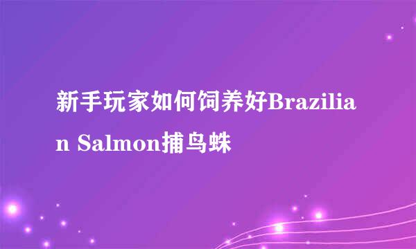 新手玩家如何饲养好Brazilian Salmon捕鸟蛛