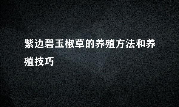 紫边碧玉椒草的养殖方法和养殖技巧