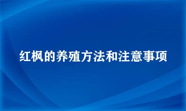 红枫的养殖方法和注意事项