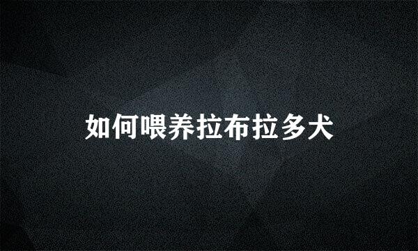 如何喂养拉布拉多犬