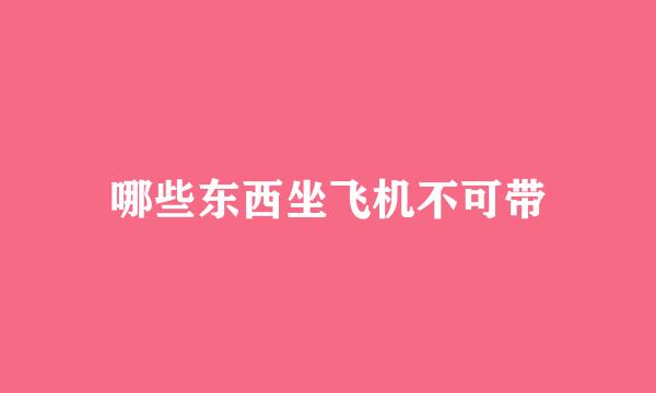 哪些东西坐飞机不可带