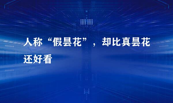 人称“假昙花”，却比真昙花还好看