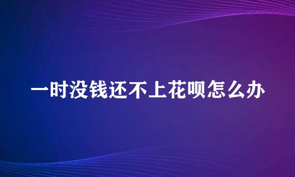 一时没钱还不上花呗怎么办