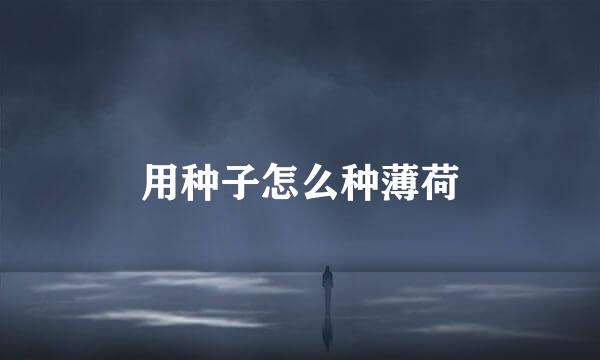 用种子怎么种薄荷
