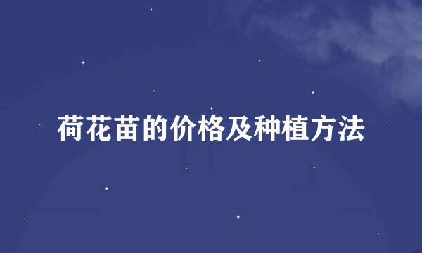 荷花苗的价格及种植方法