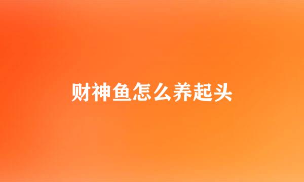 财神鱼怎么养起头