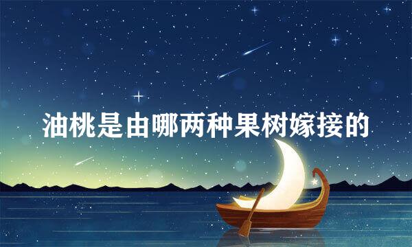 油桃是由哪两种果树嫁接的