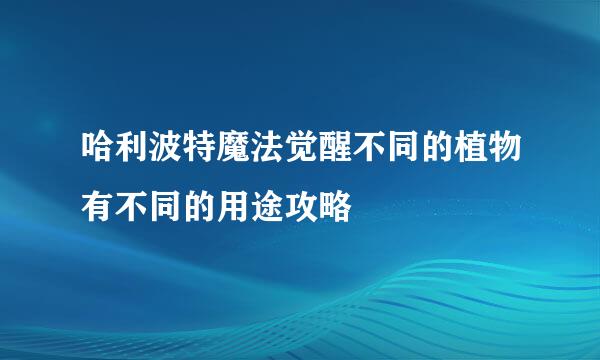 哈利波特魔法觉醒不同的植物有不同的用途攻略