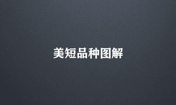 美短品种图解