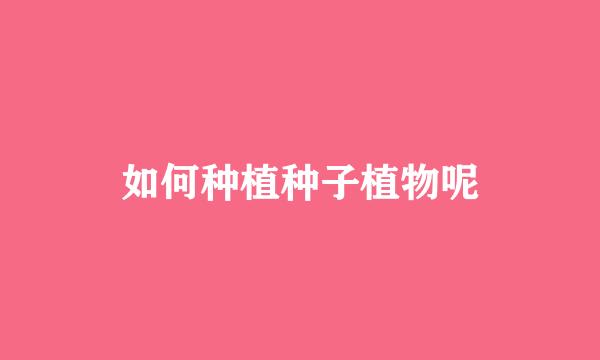 如何种植种子植物呢