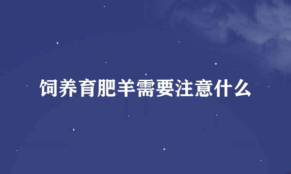 饲养育肥羊需要注意什么