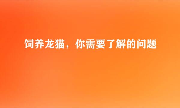 饲养龙猫，你需要了解的问题