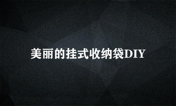 美丽的挂式收纳袋DIY