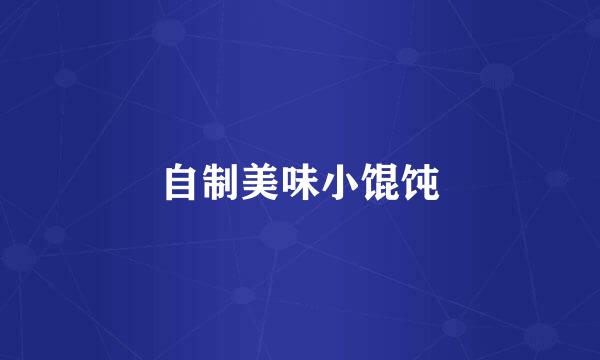 自制美味小馄饨