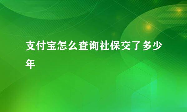 支付宝怎么查询社保交了多少年