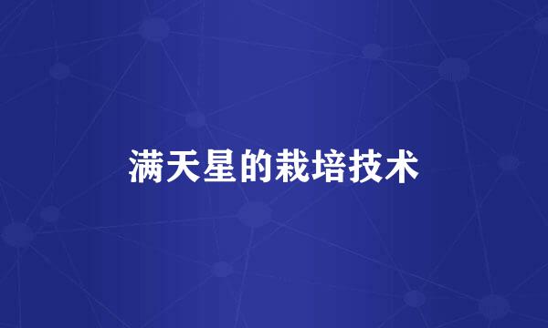 满天星的栽培技术