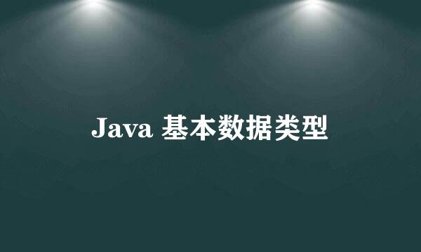 Java 基本数据类型