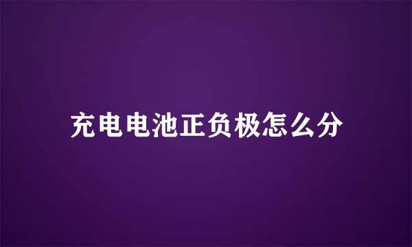 充电电池正负极怎么分