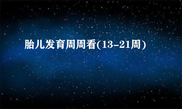 胎儿发育周周看(13-21周)