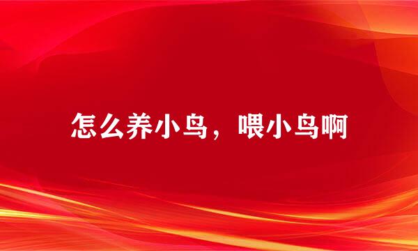 怎么养小鸟，喂小鸟啊