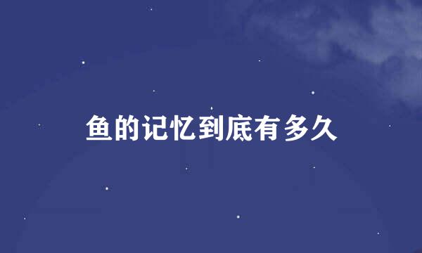 鱼的记忆到底有多久